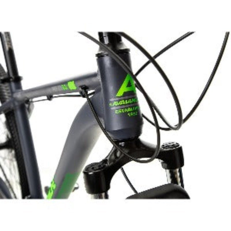 Reflex 29 18