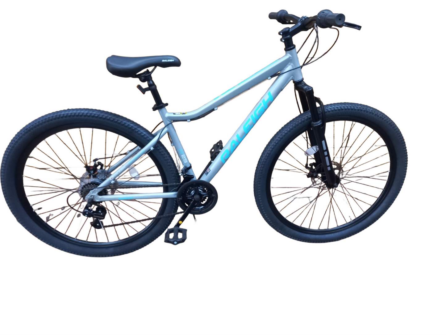 Raleigh Everest 2.0 29"