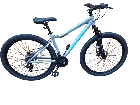 Raleigh Everest 2.0 29"