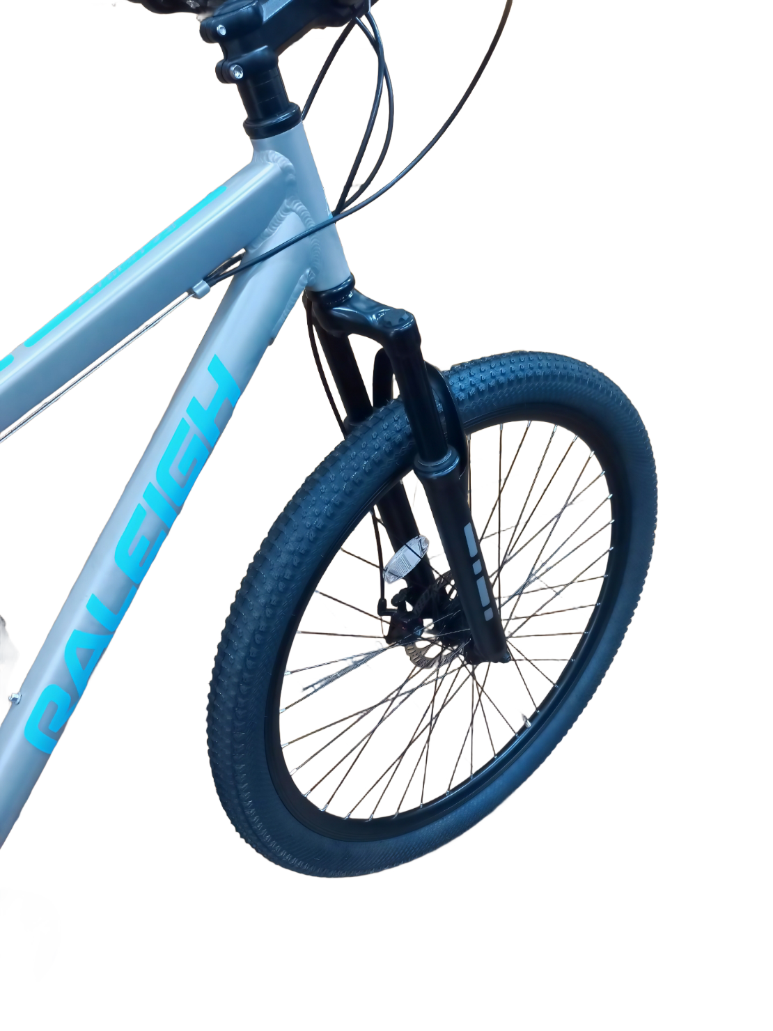 Raleigh Everest 2.0 29"