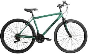 Raleigh Everest Mountain Bike 29"